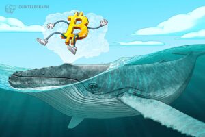 Bitcoin price falls toward range lows, but data shows ‘whales going wild right now’