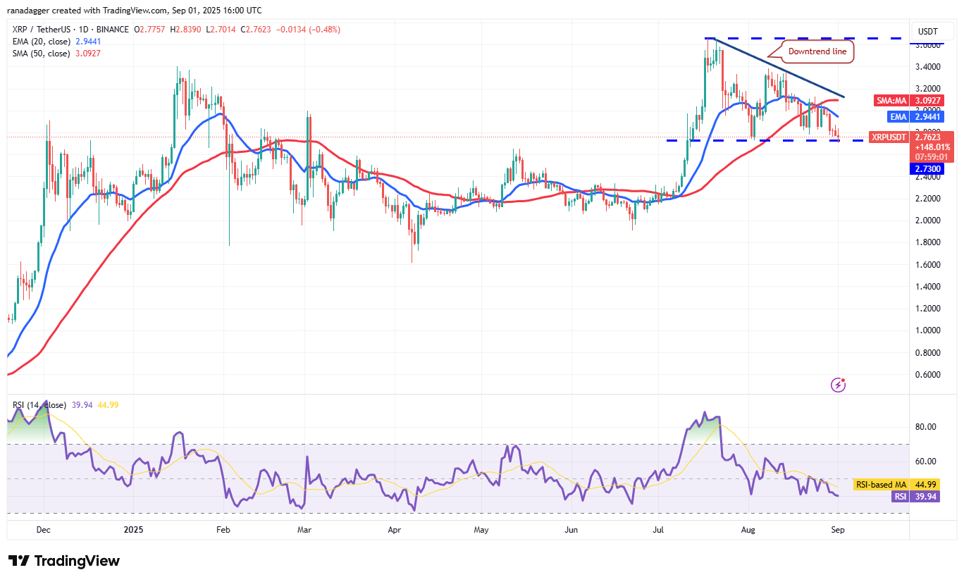 Dogecoin, Cryptocurrencies, Dollar, Bitcoin Price, XRP, Markets, Cryptocurrency Exchange, Social Media, Cardano, Price Analysis, Binance Coin, Chainlink, Market Analysis, CoinShares, Ether Price, Solana, S&P 500