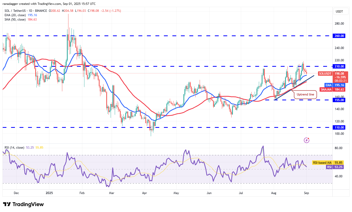 Dogecoin, Cryptocurrencies, Dollar, Bitcoin Price, XRP, Markets, Cryptocurrency Exchange, Social Media, Cardano, Price Analysis, Binance Coin, Chainlink, Market Analysis, CoinShares, Ether Price, Solana, S&P 500