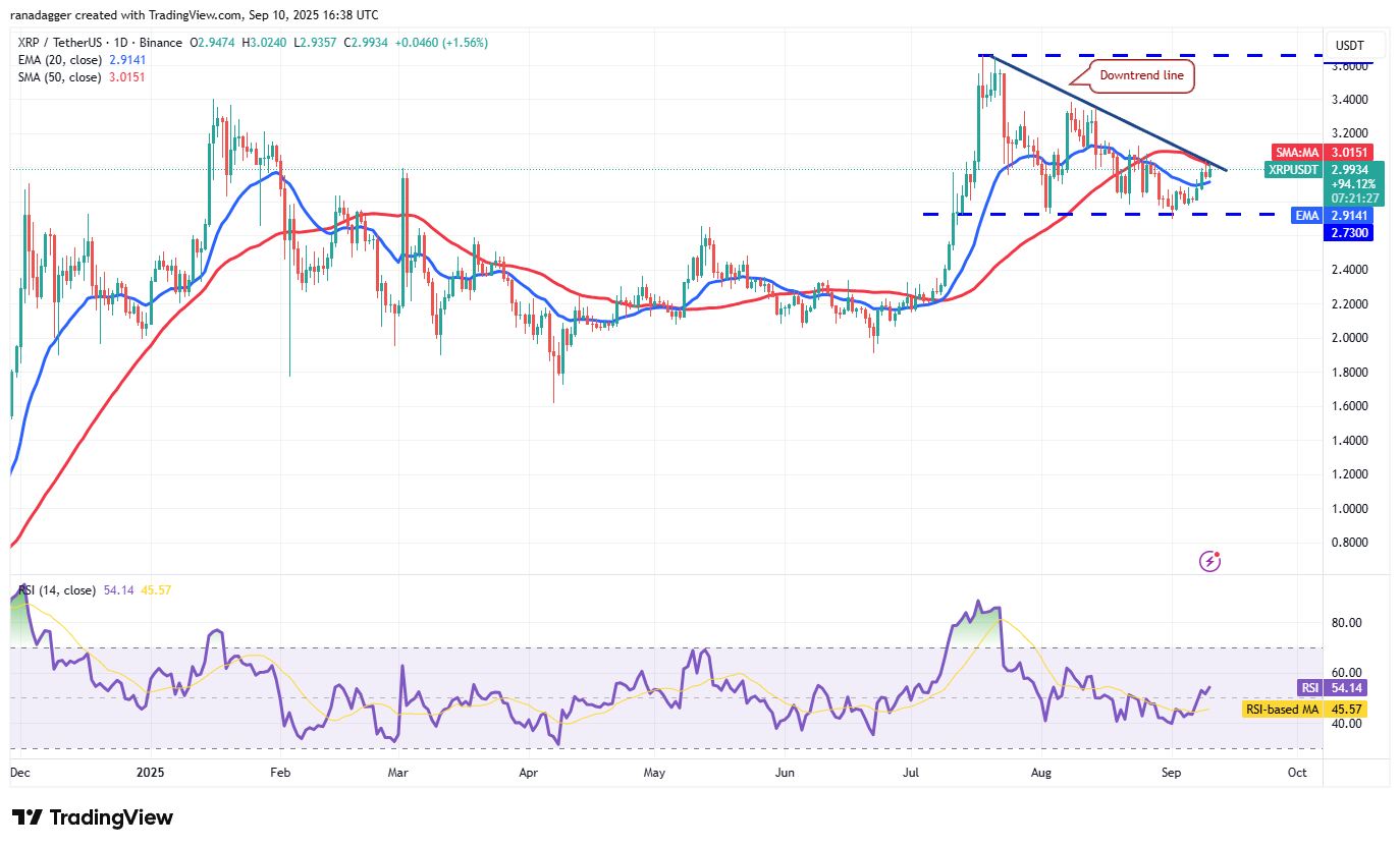 Dogecoin, Cryptocurrencies, Federal Reserve, Gold, Bitcoin Price, XRP, Markets, United States, Cryptocurrency Exchange, Inflation, Interest Rate, CME, Cardano, Price Analysis, Binance Coin, Chainlink, Market Analysis, Ether Price, Solana, SUI