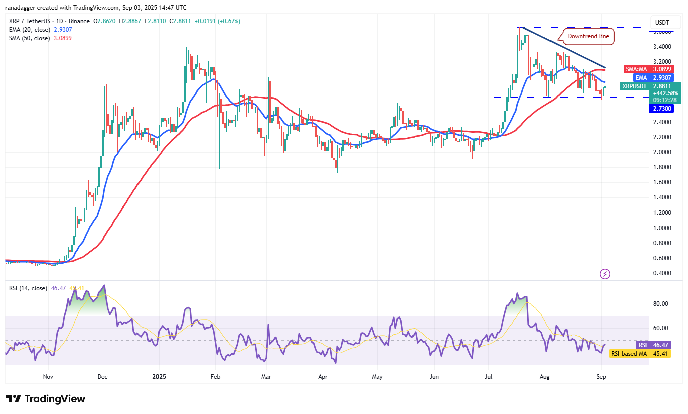 Dogecoin, Cryptocurrencies, Gold, Bitcoin Price, XRP, Markets, Cryptocurrency Exchange, Cardano, Price Analysis, Binance Coin, Chainlink, Market Analysis, Ether Price, Solana, Bitcoin ETF, ETF, SUI