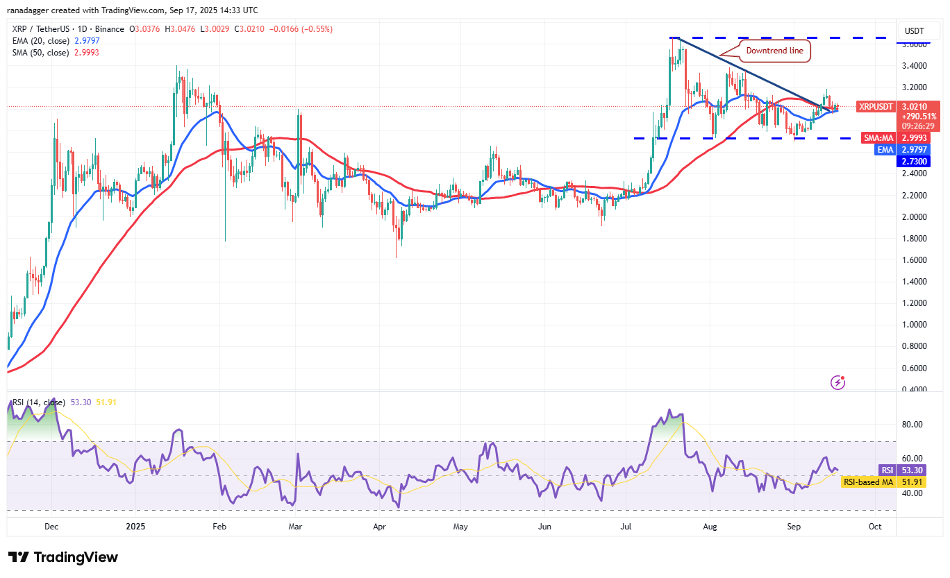 Dogecoin, Cryptocurrencies, Federal Reserve, Bitcoin Price, XRP, Markets, Cryptocurrency Exchange, Interest Rate, Tom Lee, Cardano, Price Analysis, Binance Coin, Chainlink, Fundstrat, Market Analysis, Ether Price, Solana, SUI