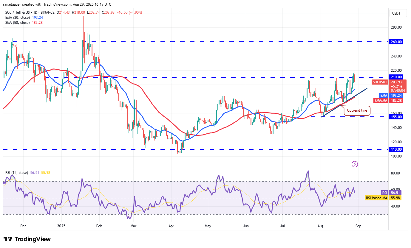 Dogecoin, Cryptocurrencies, Bitcoin Price, Christmas, XRP, Markets, Cryptocurrency Exchange, Cardano, Price Analysis, Binance Coin, Chainlink, Market Analysis, Ether Price, Solana, Ethereum ETF, Bitcoin ETF, ETF, SUI