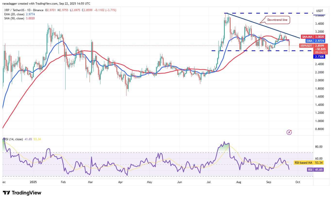 Dogecoin, Cryptocurrencies, Federal Reserve, Dollar, Bitcoin Price, XRP, Markets, United States, Cryptocurrency Exchange, Interest Rate, Cardano, Price Analysis, Binance Coin, Market Analysis, Ether Price, Solana, S&P 500