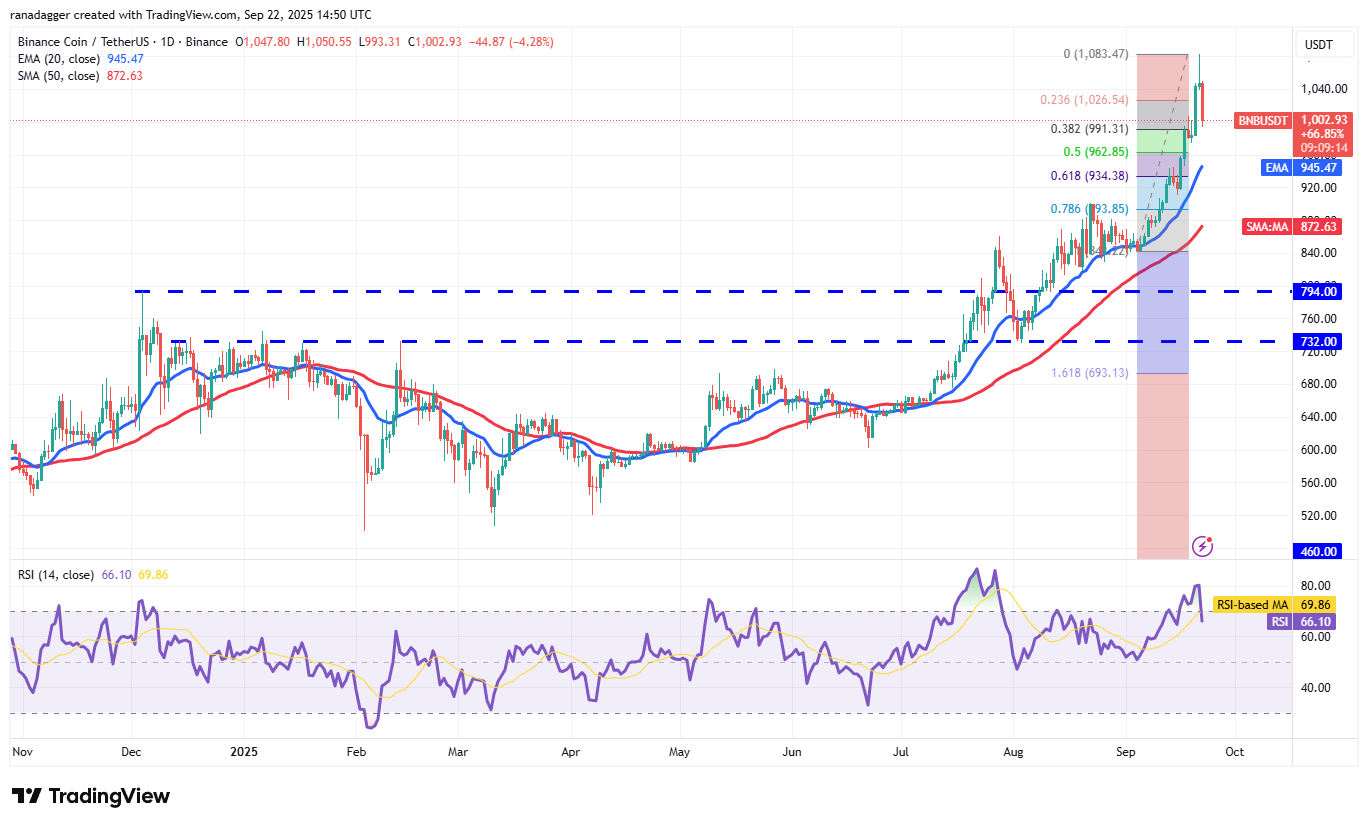 Dogecoin, Cryptocurrencies, Federal Reserve, Dollar, Bitcoin Price, XRP, Markets, United States, Cryptocurrency Exchange, Interest Rate, Cardano, Price Analysis, Binance Coin, Market Analysis, Ether Price, Solana, S&P 500