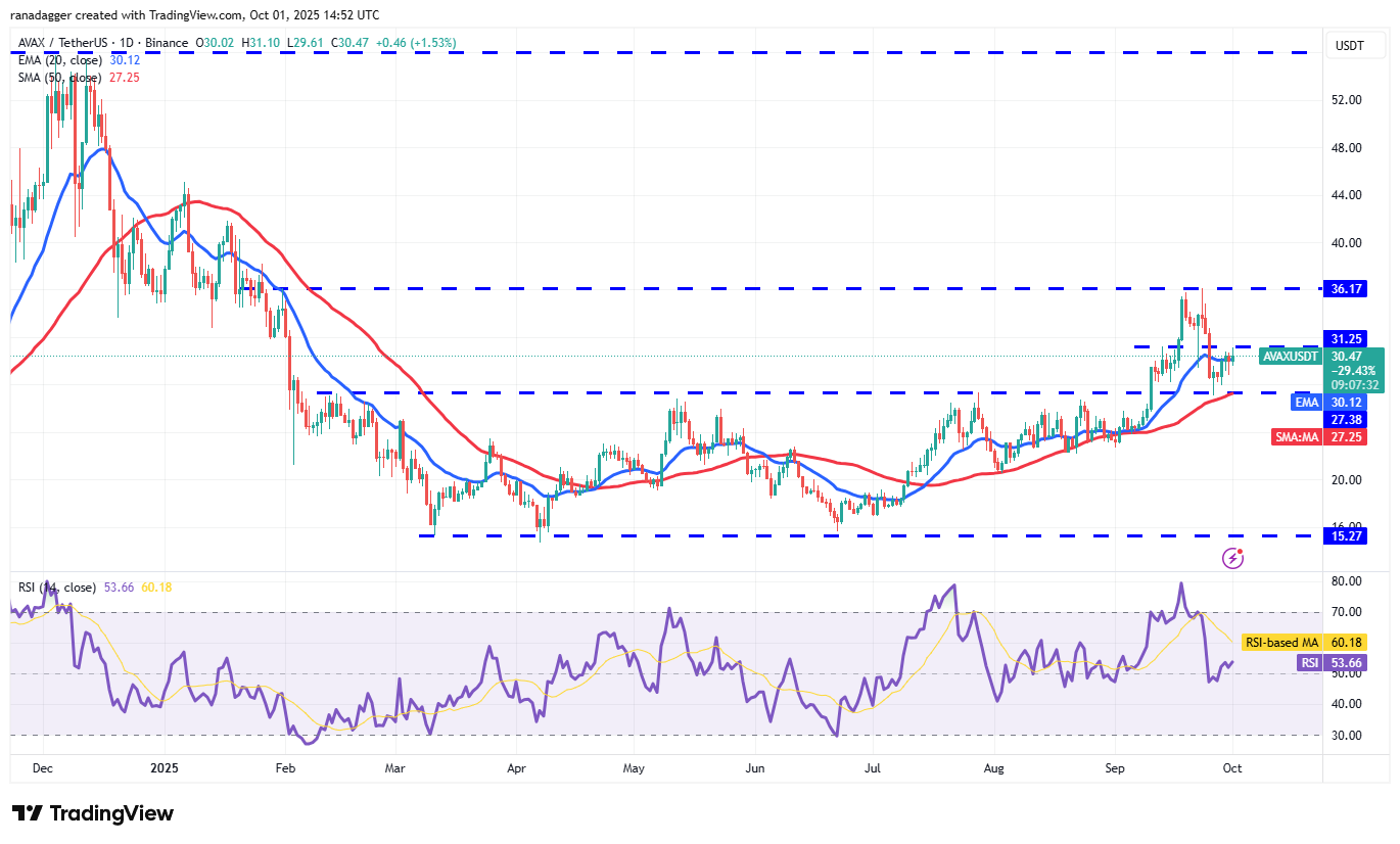 Dogecoin, Cryptocurrencies, Gold, Bitcoin Price, XRP, Cryptocurrency Exchange, Cardano, Price Analysis, Binance Coin, Chainlink, Market Analysis, Ether Price, Solana, Avalanche