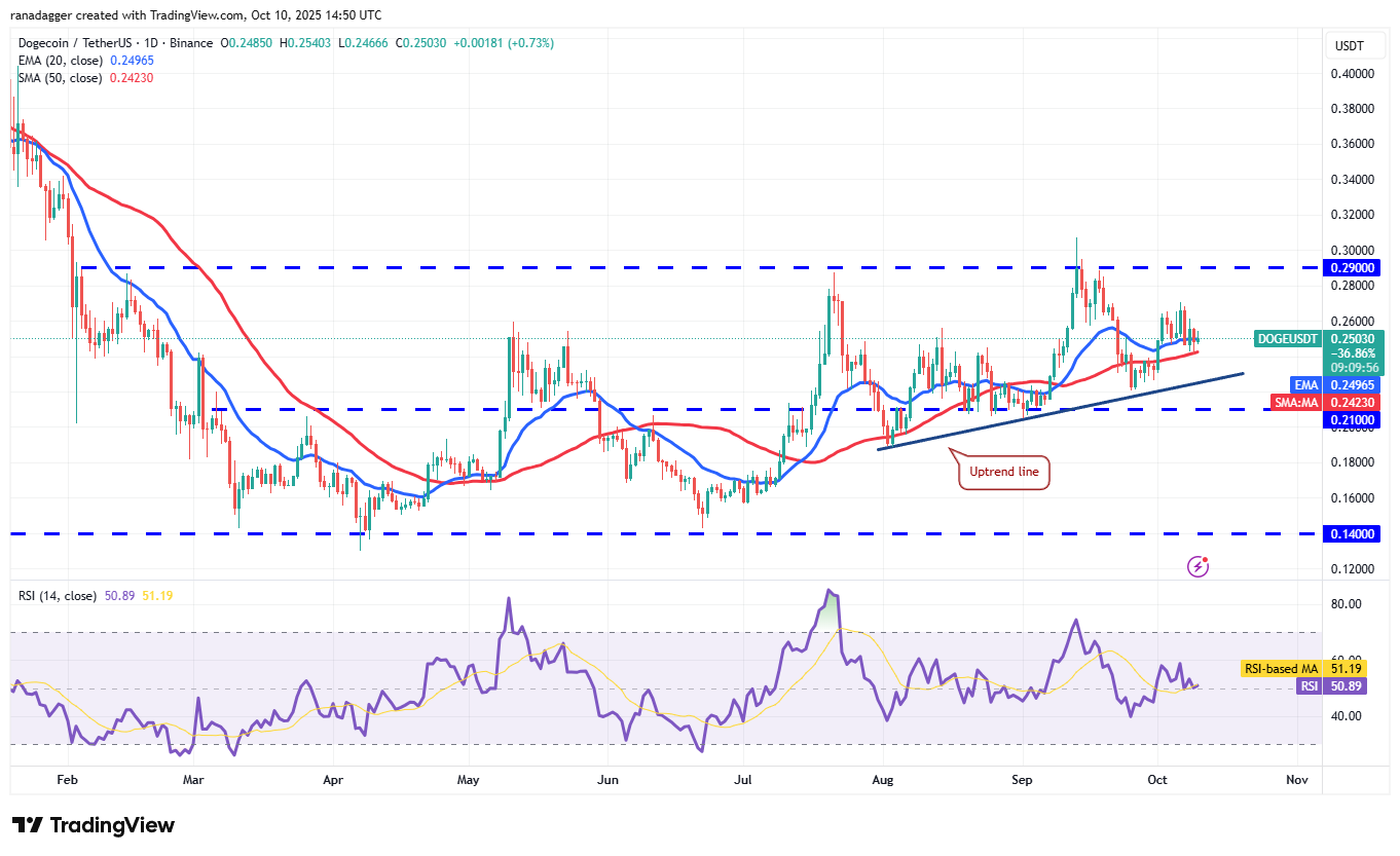 Dogecoin, Cryptocurrencies, Bitcoin Price, XRP, Markets, Cryptocurrency Exchange, Cardano, Price Analysis, Binance Coin, Chainlink, Market Analysis, Ether Price, Solana, SUI